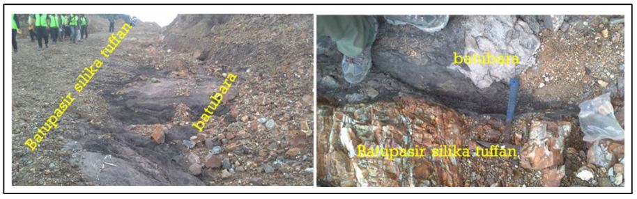 Batubara dan Batupasir Silika Tuffan di Perbukitan Ngalau
