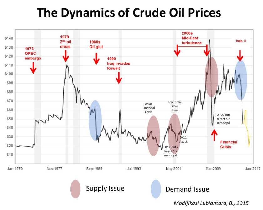The Dynamics of Crude Oil Prices